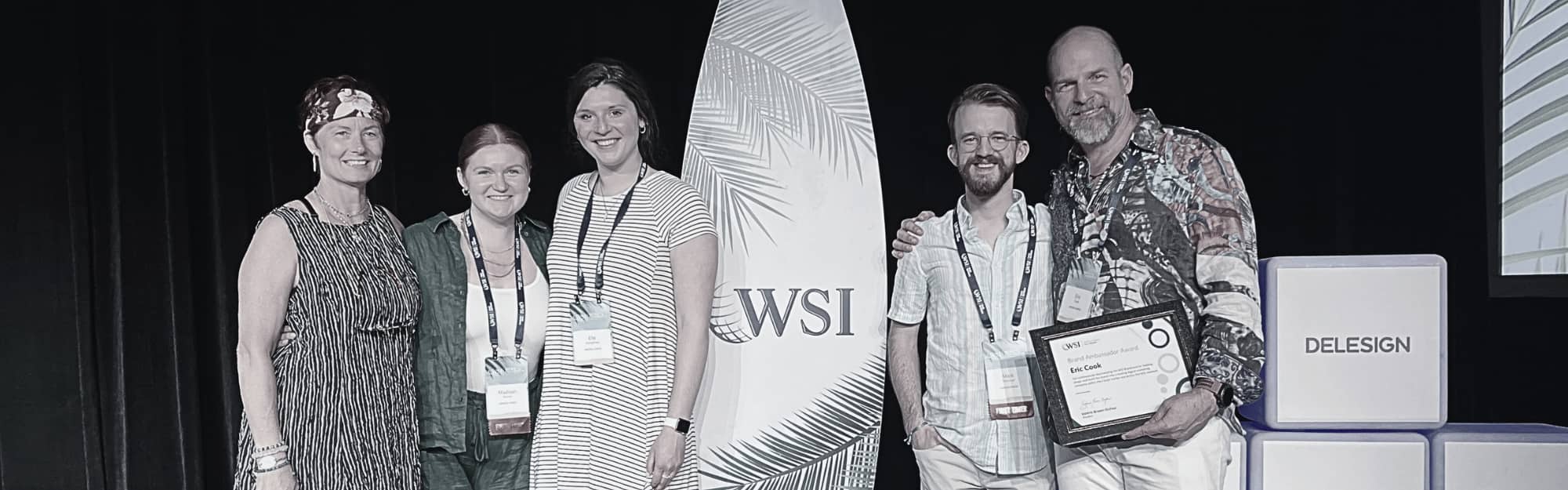 wsi team